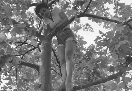 1952. Эрта Китт на дереве в Нью-Йорке: свободная поза среди листвы, взгляд сверху вниз